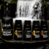 JoLash Brow Henna Start Kit