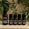 JoLash Brow Henna Start Kit