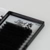 Black Mat Volume Lashes