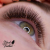 Black Feather Volume Lashes Mix