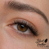 Black Feather Volume Lashes Mix