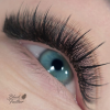 Black Feather Volume Lashes Mix
