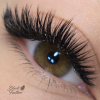 Black Feather Volume Lashes Mix